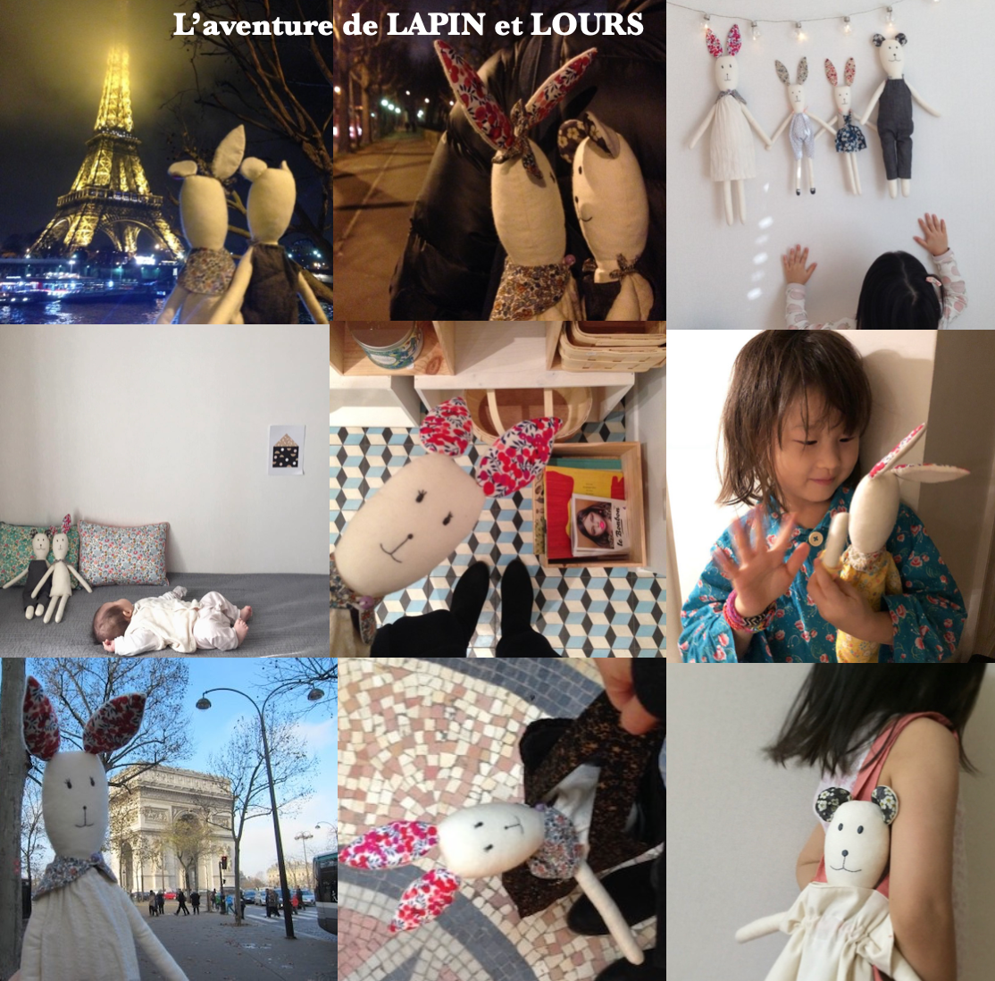 [LAPINetLOURS] Loursa